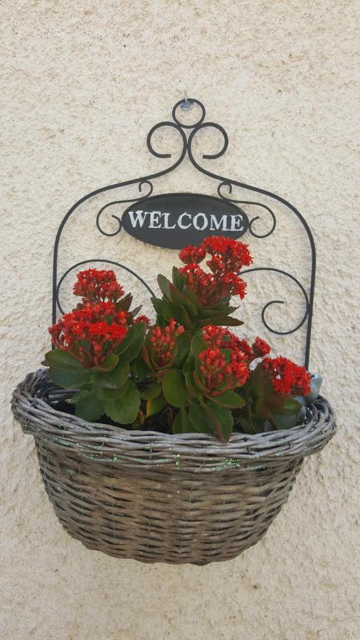 Poggio Nativo B&B In Sabina المظهر الخارجي الصورة