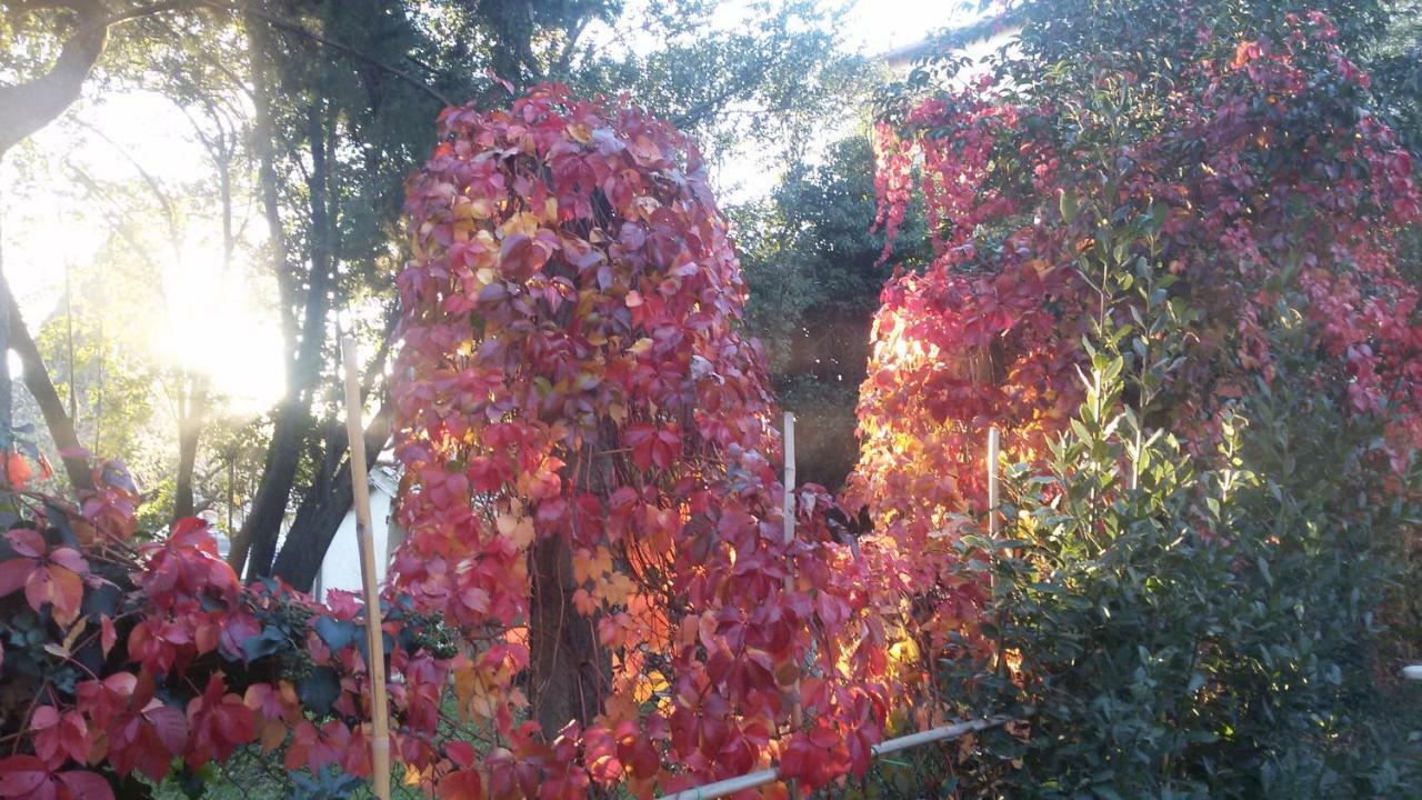 Poggio Nativo B&B In Sabina المظهر الخارجي الصورة