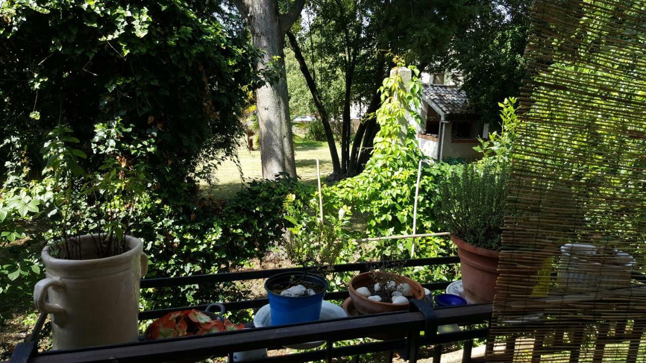 Poggio Nativo B&B In Sabina المظهر الخارجي الصورة