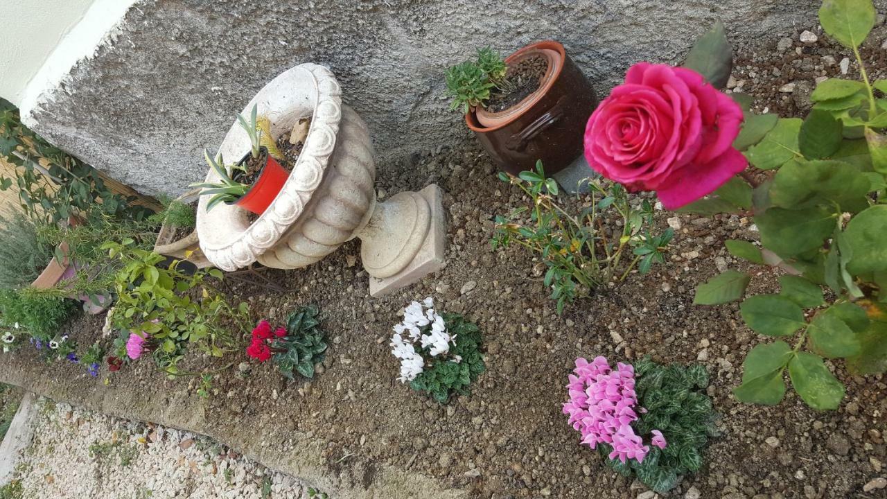 Poggio Nativo B&B In Sabina المظهر الخارجي الصورة