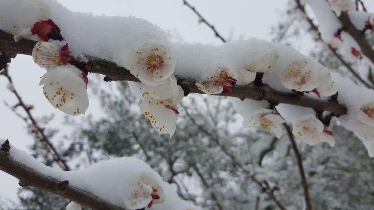 Poggio Nativo B&B In Sabina المظهر الخارجي الصورة