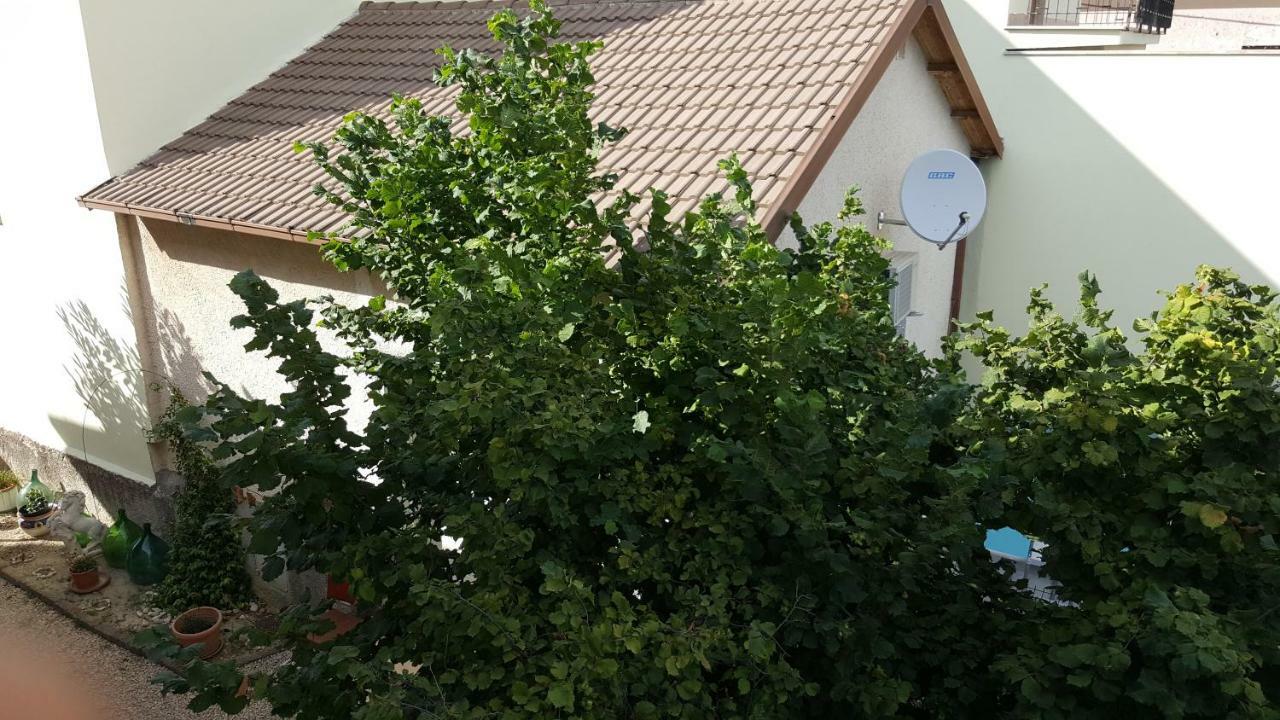 Poggio Nativo B&B In Sabina المظهر الخارجي الصورة