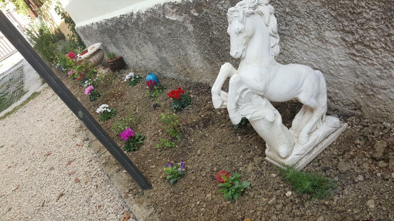 Poggio Nativo B&B In Sabina المظهر الخارجي الصورة