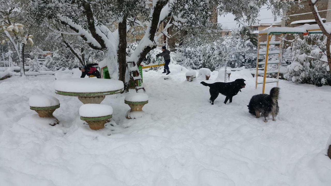 Poggio Nativo B&B In Sabina المظهر الخارجي الصورة
